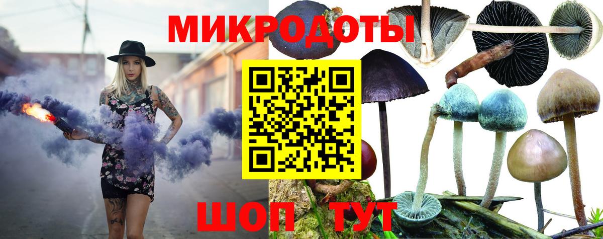 Саянск  купить закладку  Вход с VPN  Псилоцибиновые грибы мухоморы 