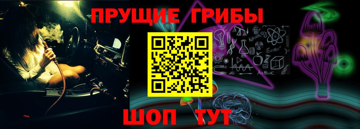 Галлюциногенные грибы Cubensis Саянск